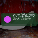 nynizie.pro
